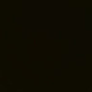 Meet your Posher, Shamar